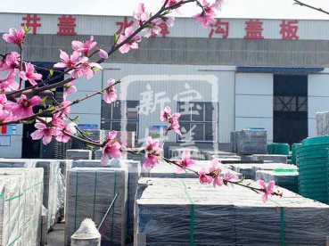 花滿枝頭，春意盎然